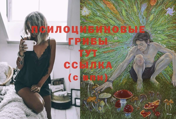 ПСИЛОЦИБИНОВЫЕ ГРИБЫ Абинск