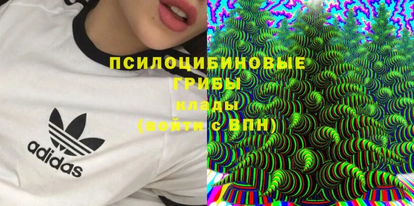 скорость Абаза