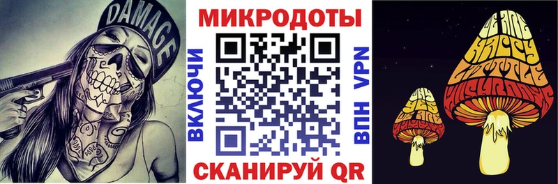 купить наркоту  Калининград  Галлюциногенные грибы Psilocybe 